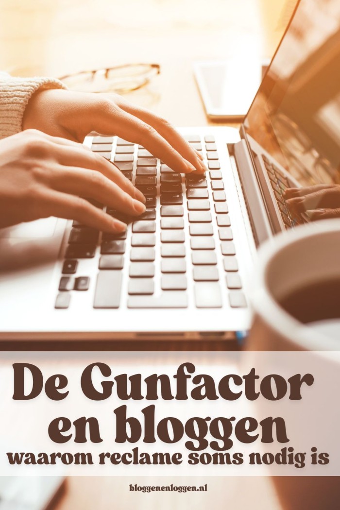 blog inkomsten