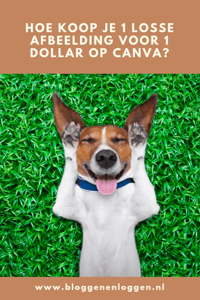 Hoe koop je 1 losse afbeelding kopen op Canva voor 1 dollar_