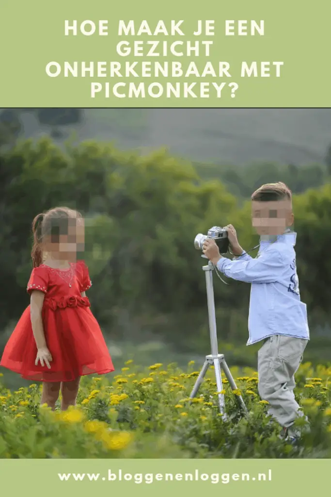 Hoe maak je een gezicht onherkenbaar met PicMonkey_