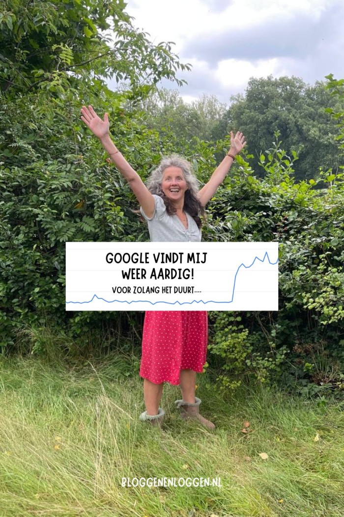 google seo